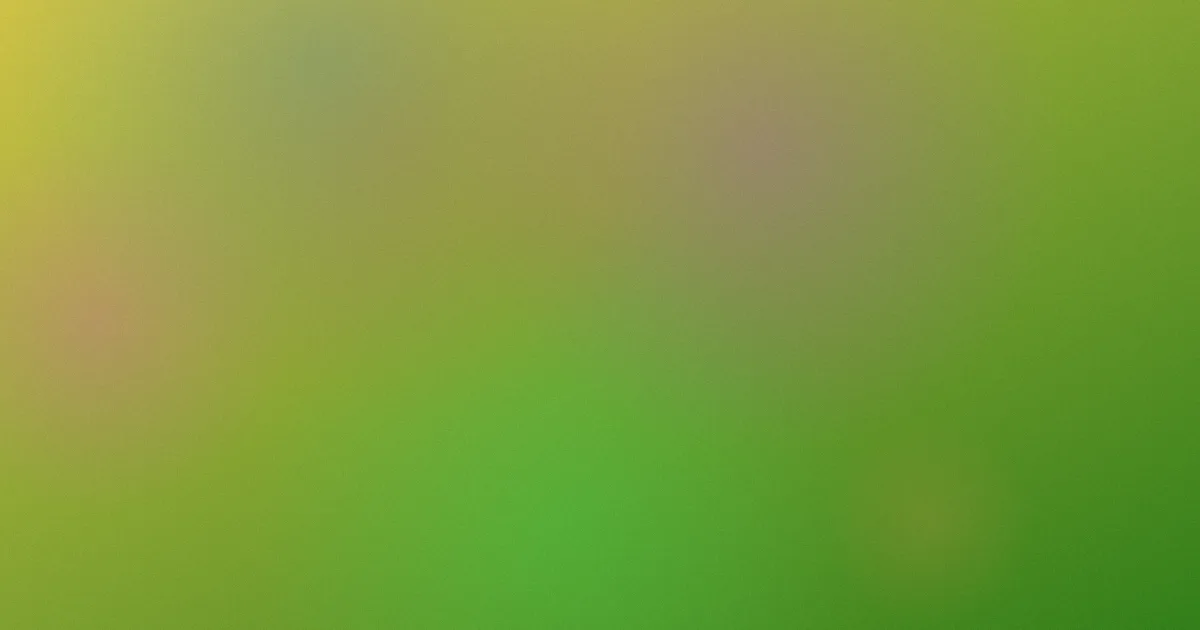 13589怎么用？实测填报完整流程